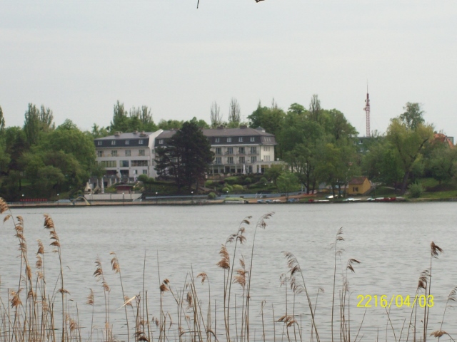 100_0999 (640x480).jpg