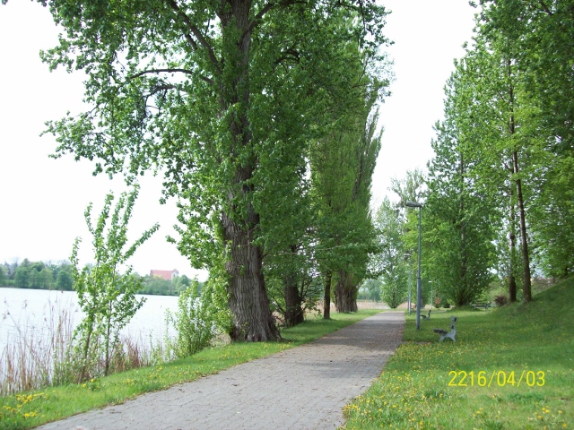 100_1007 (640x480).jpg