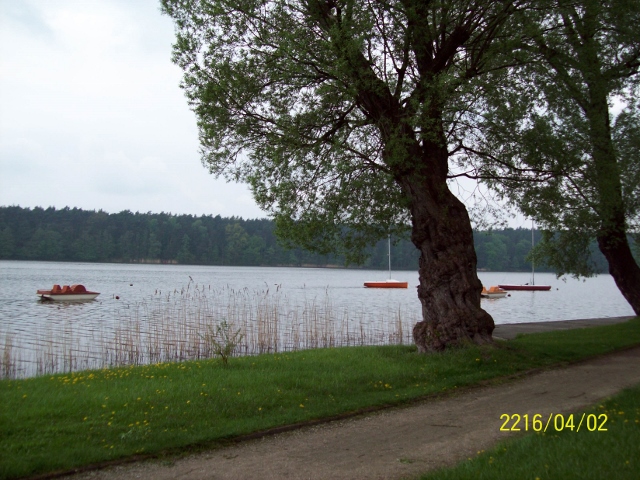 100_0975 (640x480).jpg