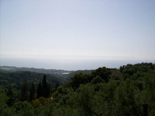 100_3878.jpg