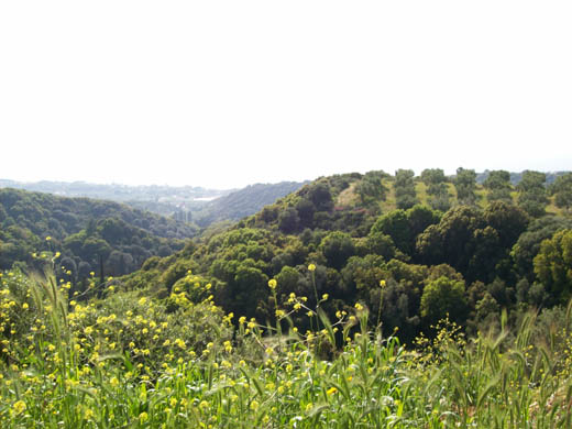100_3891.jpg