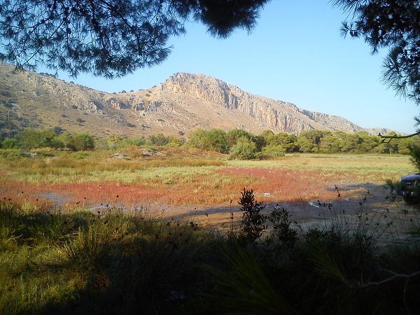 DSC_1118.jpg