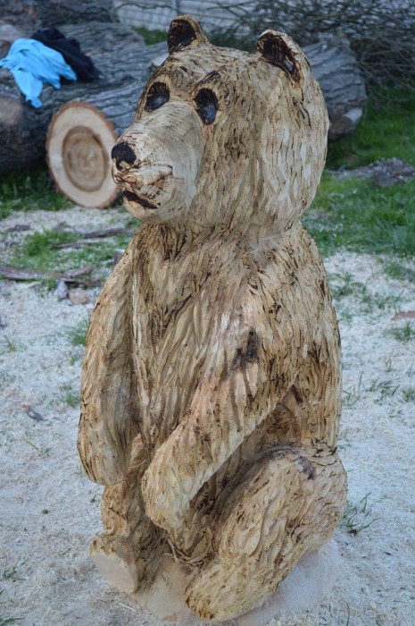 DSC_1815.JPG