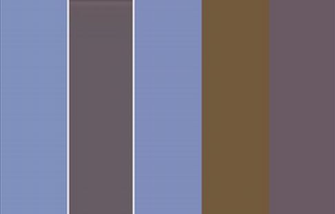 paleta sukienka.jpg