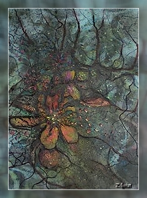 Zdjęcia 2008 087-1_hf.jpg