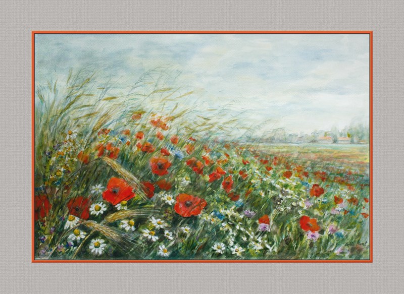 Kwiaty polskie- akwarela  50x70 cm, zmniejsz.800.jpg