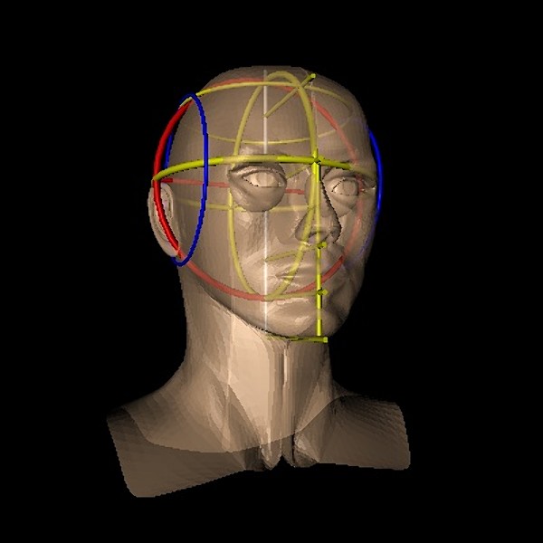 malehead01x04.jpgbdc168bc-0a00-4391-8b54-61cff6f03908Larger.jpg
