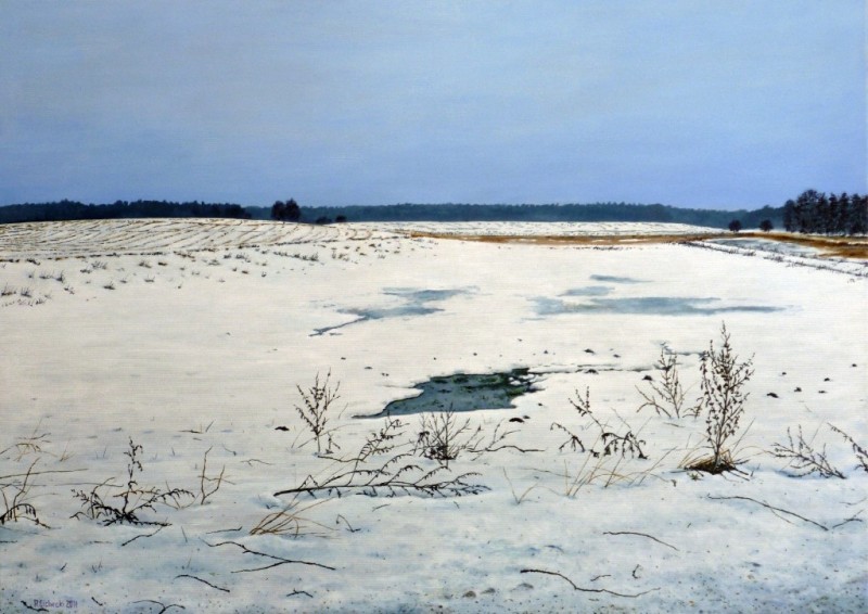Zimowe pola w Oświnie , 50 x 70 , olej.JPG