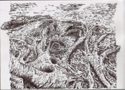 SWScan00009.jpg