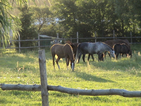 DSC00064-1.JPG