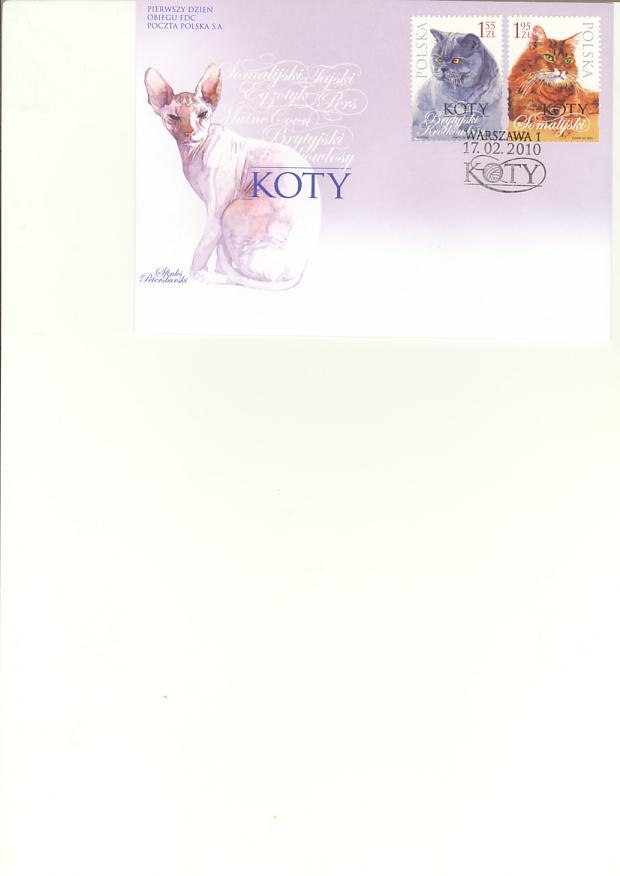koty razem kopewrta0004.JPG