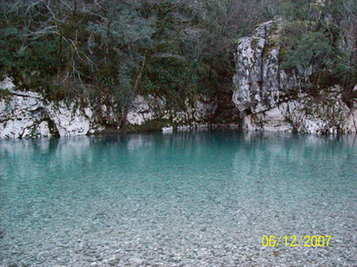 100_0224.jpg