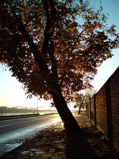 DSC08295.JPG