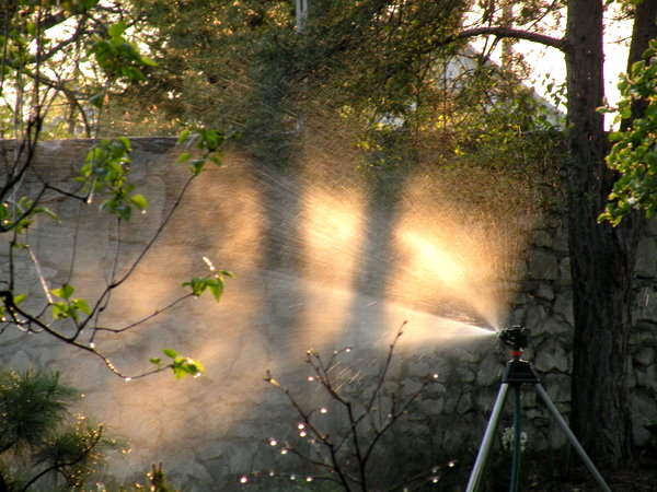 Radzanów 099.jpg