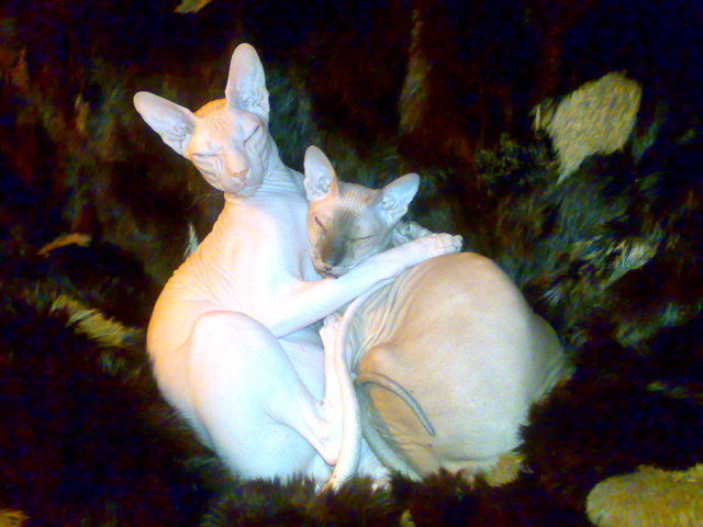13022011379.jpg