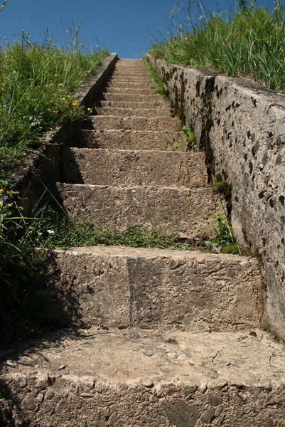 IMG_6733.jpg