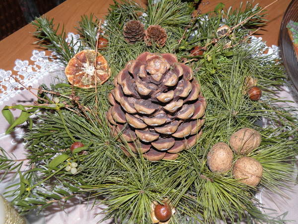 DSCN0574.jpg