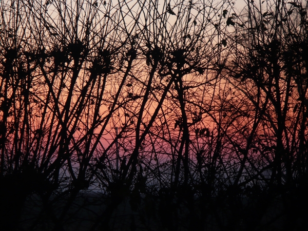 P1050010.JPG