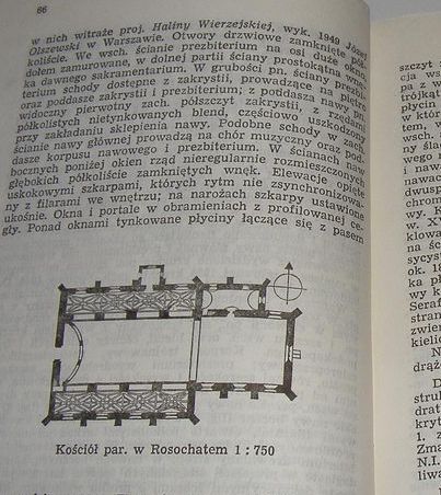 wierzejska1.jpg