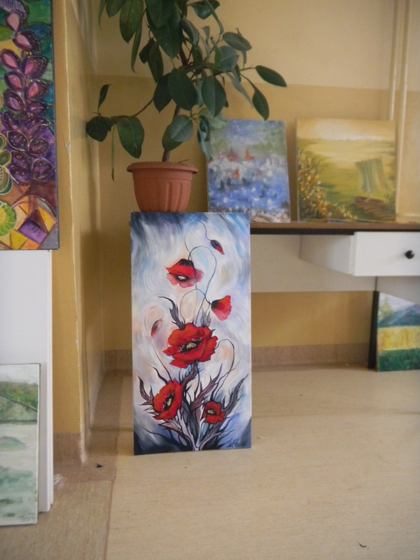DSCN0527.JPG