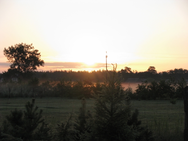IMG_6811.JPG