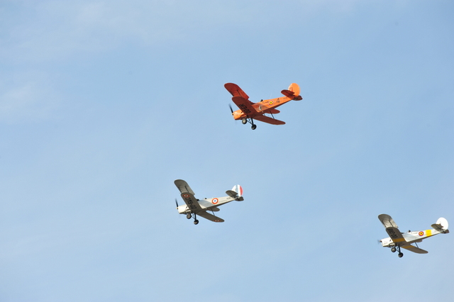 DSC_9486.JPG