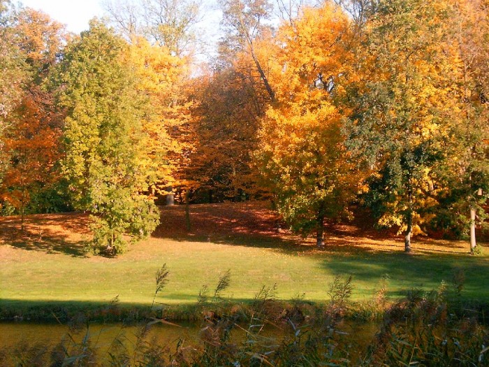 HPIM0370.JPG
