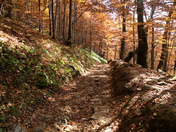 bieszczady 060.jpg