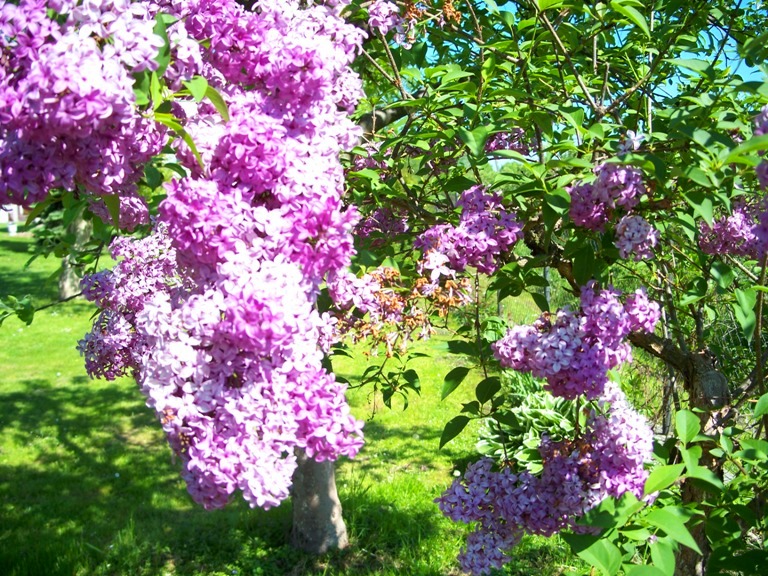 100_1837.JPG